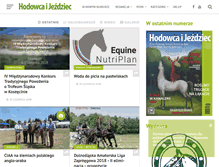 Tablet Screenshot of hij.com.pl